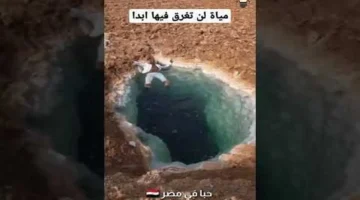 تحرك جديد.. سعر الدولار في البنك المركزي يحسم مصير استقرار السوق المالي المصري 2026